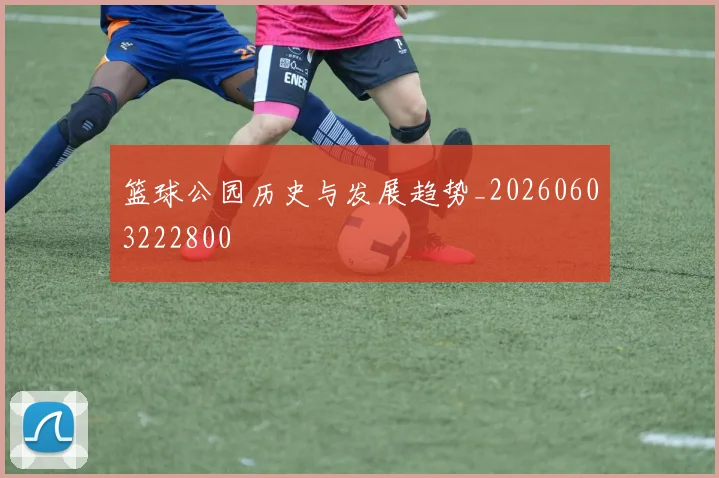 篮球公园历史与发展趋势_20260603222800