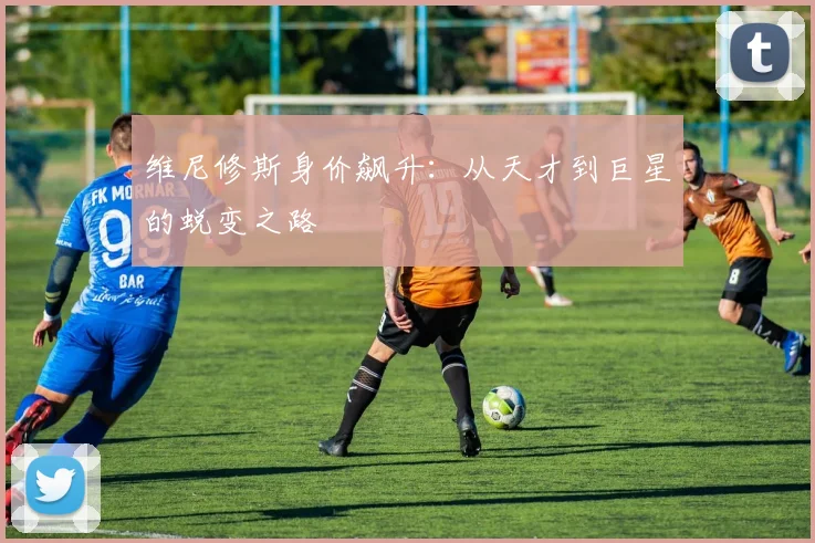 维尼修斯身价飙升:从天才到巨星的蜕变之路